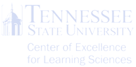 TSU Center of Excellence for Learning Sciences